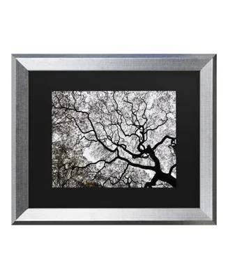 Kurt Shaffer Japanese Maple Spring Abstract Ii Matted Framed Art