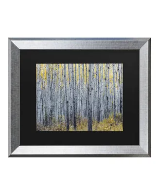 Pierre Leclerc Forest of Aspen Trees Matted Framed Art