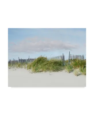 James Mcloughlin Beachscape Iv Canvas Art