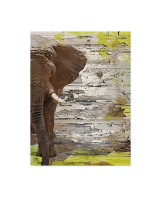 Irena Orlov The Elephant I Canvas Art
