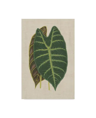 Unknown Leaves on Linen Iii Canvas Art