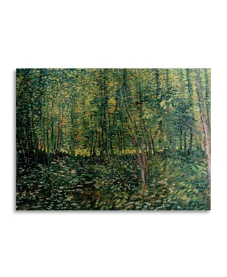 Vincent Van Gogh Trees and Undergrowth, 1887 Floating Brushed Aluminum Art - 22" x 25"