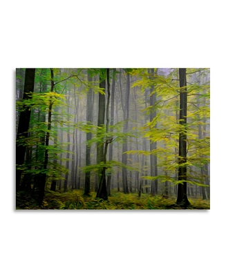 Philippe Sainte-Laudy Sugar Low Floating Brushed Aluminum Art - 22" x 25"