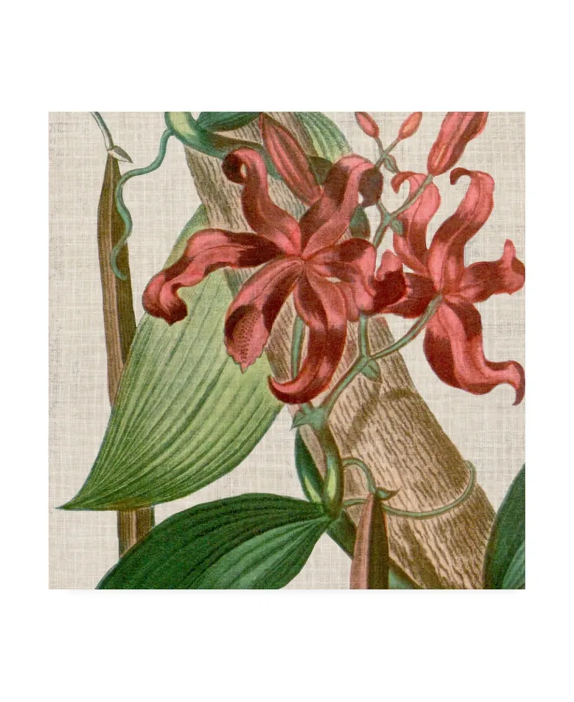 Vision Studio Cropped Turpin Tropicals Ix Canvas Art - 15" x 20"