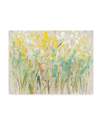 Tim Otoole Floral Cluster I Canvas Art - 37" x 49"