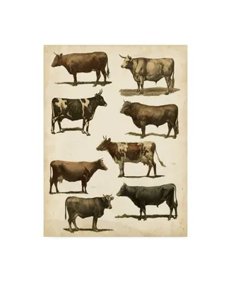 Vision Studio Antique Cow Chart Canvas Art