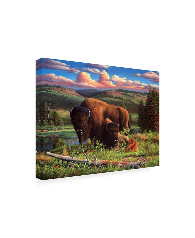 R W Hedge Buffalo Nation Canvas Art - 36.5" x 48"