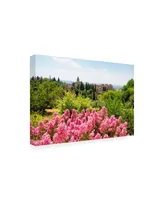 Philippe Hugonnard Made in Spain Summer scent at Alhambra Canvas Art
