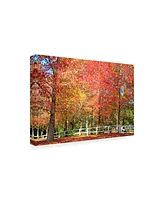 Beata Czyzowska Young Bc Magic of Autumn Canvas Art - 27" x 33.5"