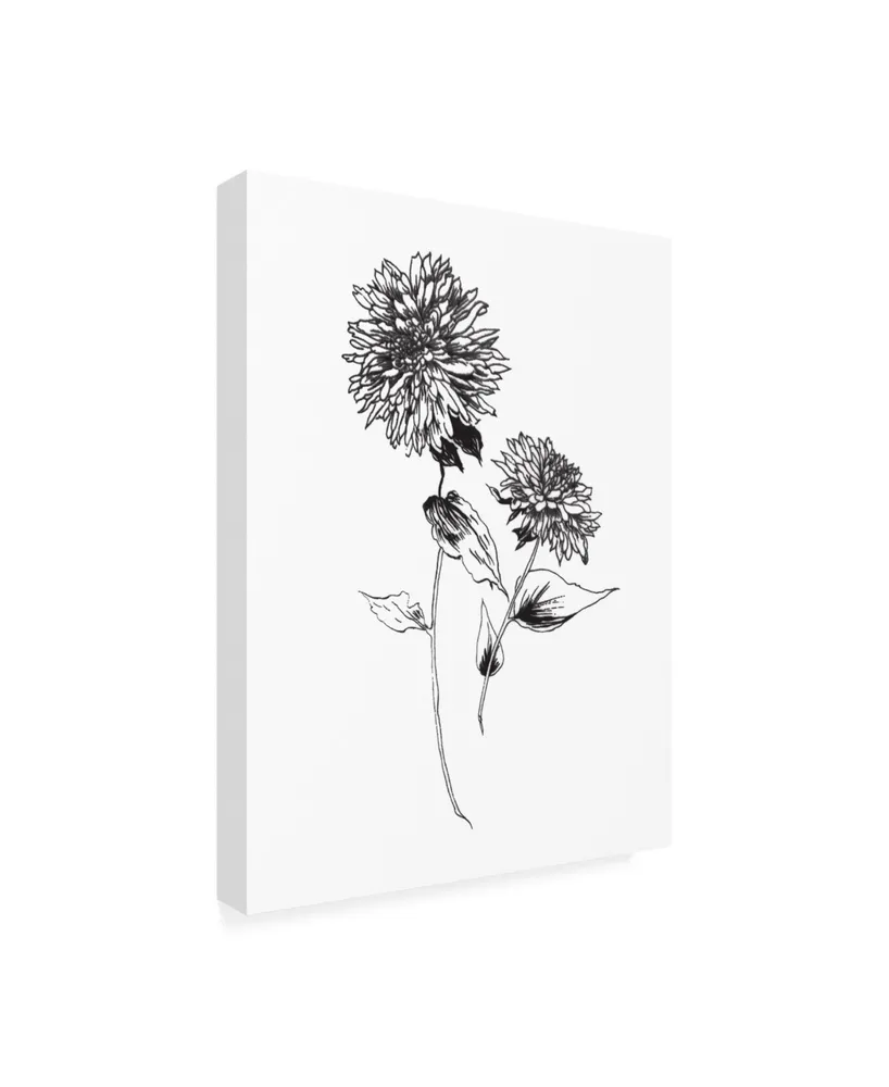 Wild Apple Portfolio Sketchbook Flowers on White Iv Canvas Art