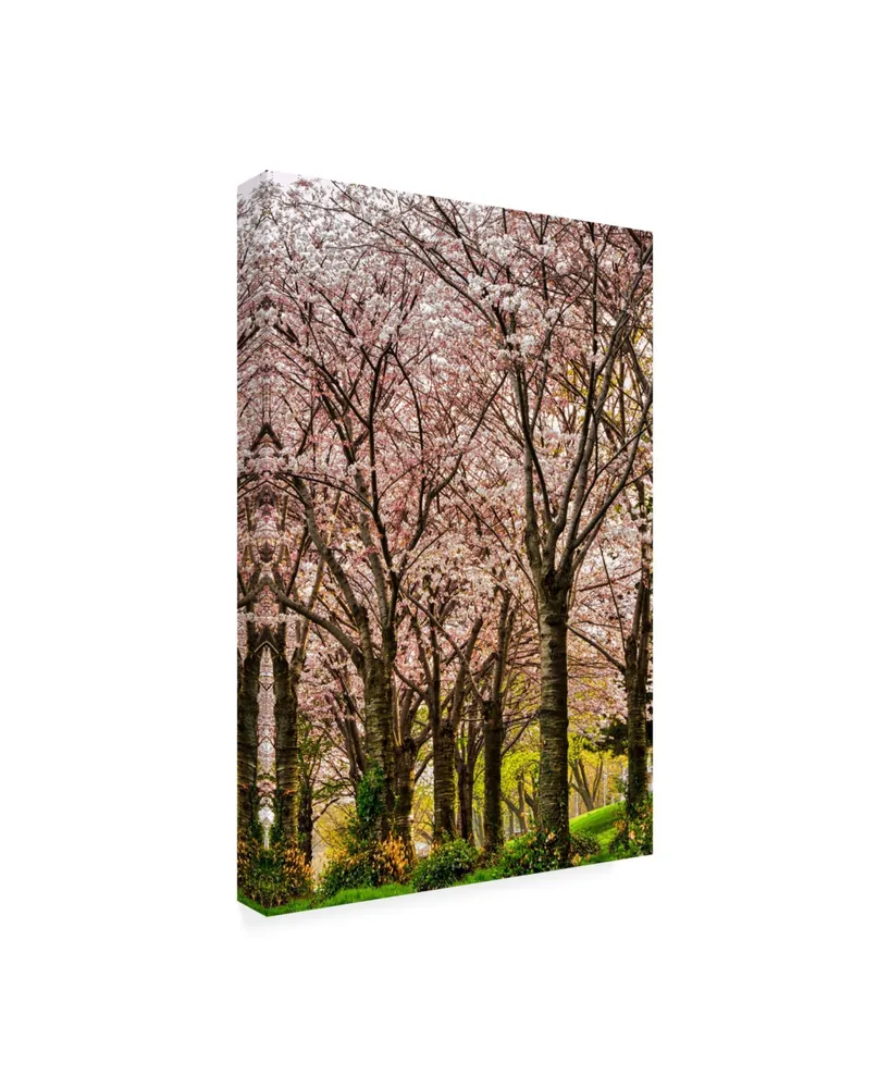 Chuck Burdic Cherries in Bloom Canvas Art