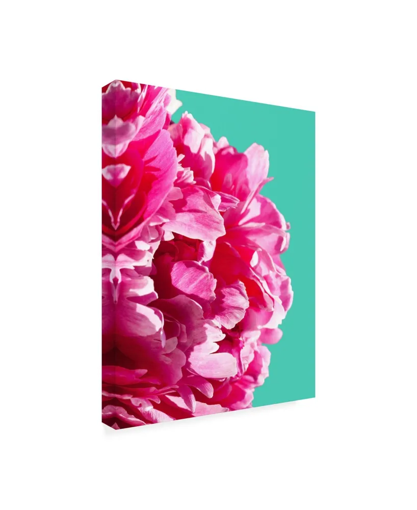 Lexie Gree Pink Peony on Teal Canvas Art