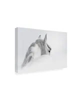 PhotoINC Studio White Horse on White Canvas Art - 27" x 33.5"