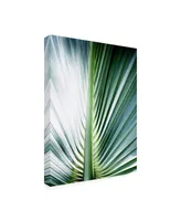 Incado Close up Iii Tropic Canvas Art - 15.5" x 21"