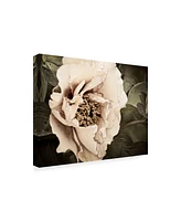 Rachel Perry Golden Era Peony I Canvas Art - 20" x 25"