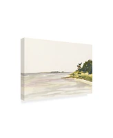 Dianne Miller Solitary Coastline I Canvas Art - 20" x 25"