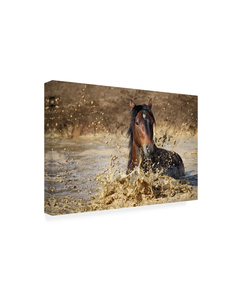 Vedran Vidak Horse in Water Canvas Art