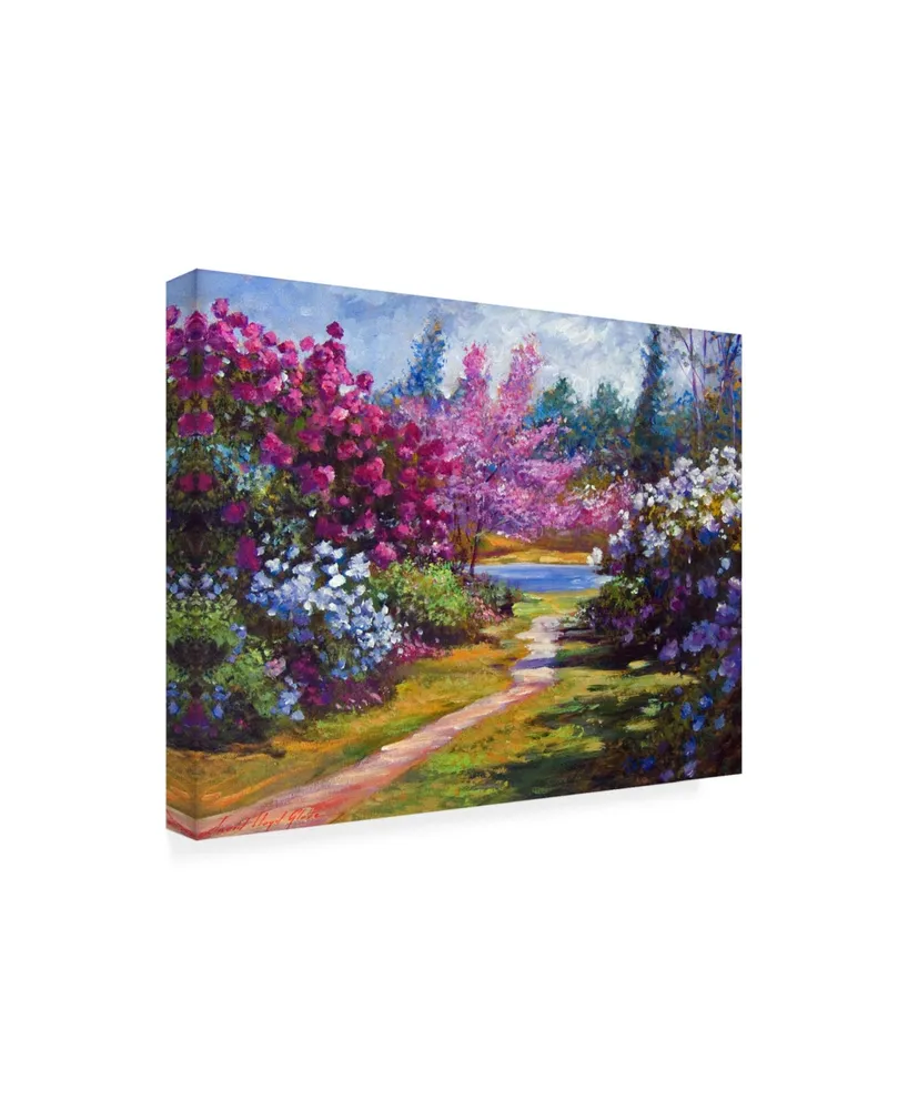 David Lloyd Glover The Glory of Spring Canvas Art - 37" x 49"