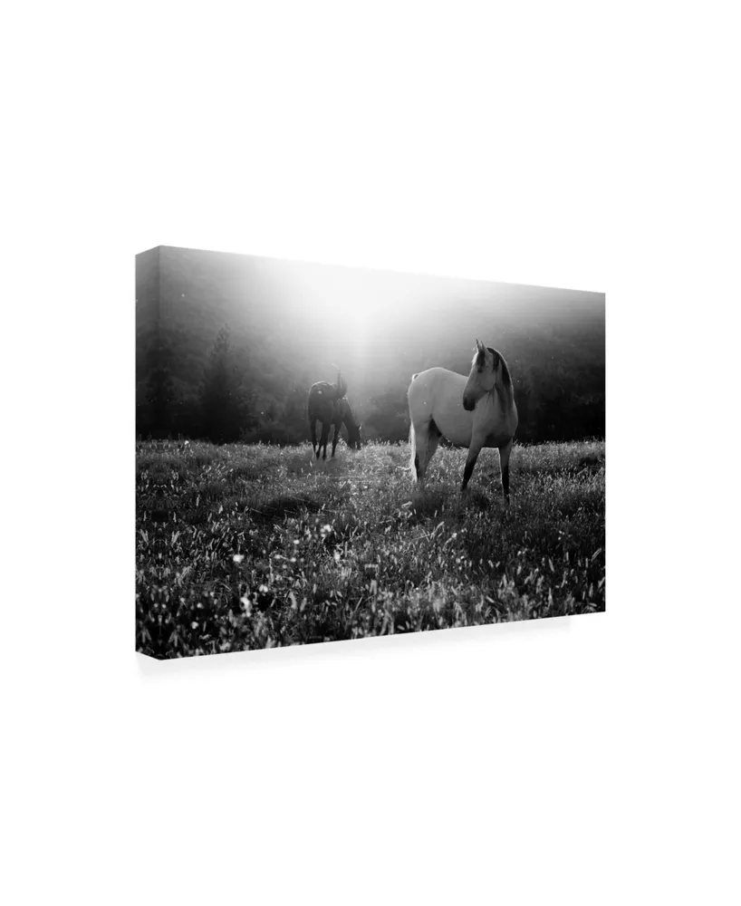 Peter Svoboda Mqep Come Home Canvas Art