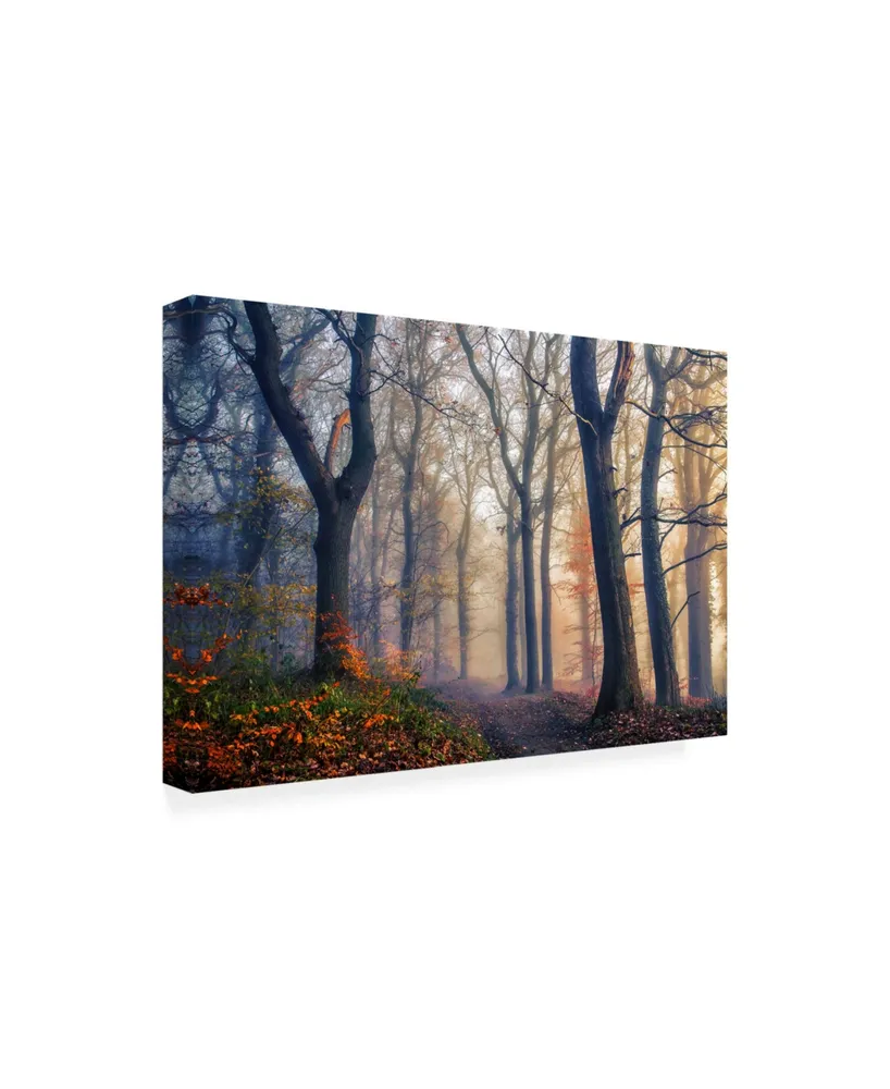 Leif Londal The Forest Path Canvas Art - 15" x 20"