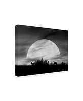 Monte Nagler Moonlight Silhouette Farmington Hills Michigan Canvas Art - 37" x 49"