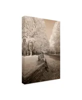 Monte Nagler Staggered Fence Sepia Canvas Art - 37" x 49"