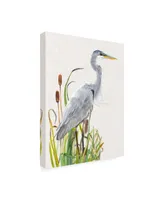 Naomi Mccavitt Water Birds and Cattails I Canvas Art - 15" x 20"