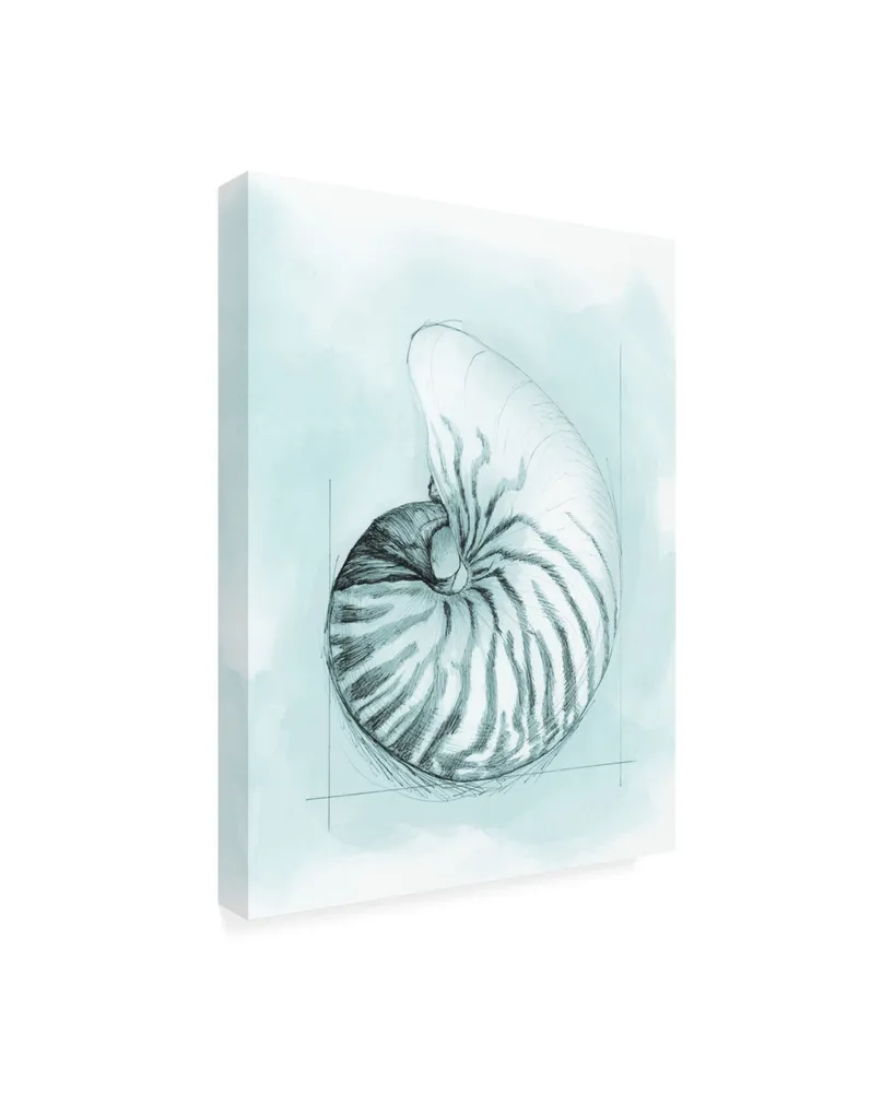 Megan Meagher Coastal Shell Schematic Ii Canvas Art