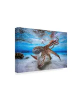 Barathieu Gabriel Dancing Octopus Canvas Art