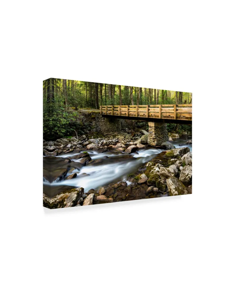 Danny Head Bridge and Cascade I Canvas Art