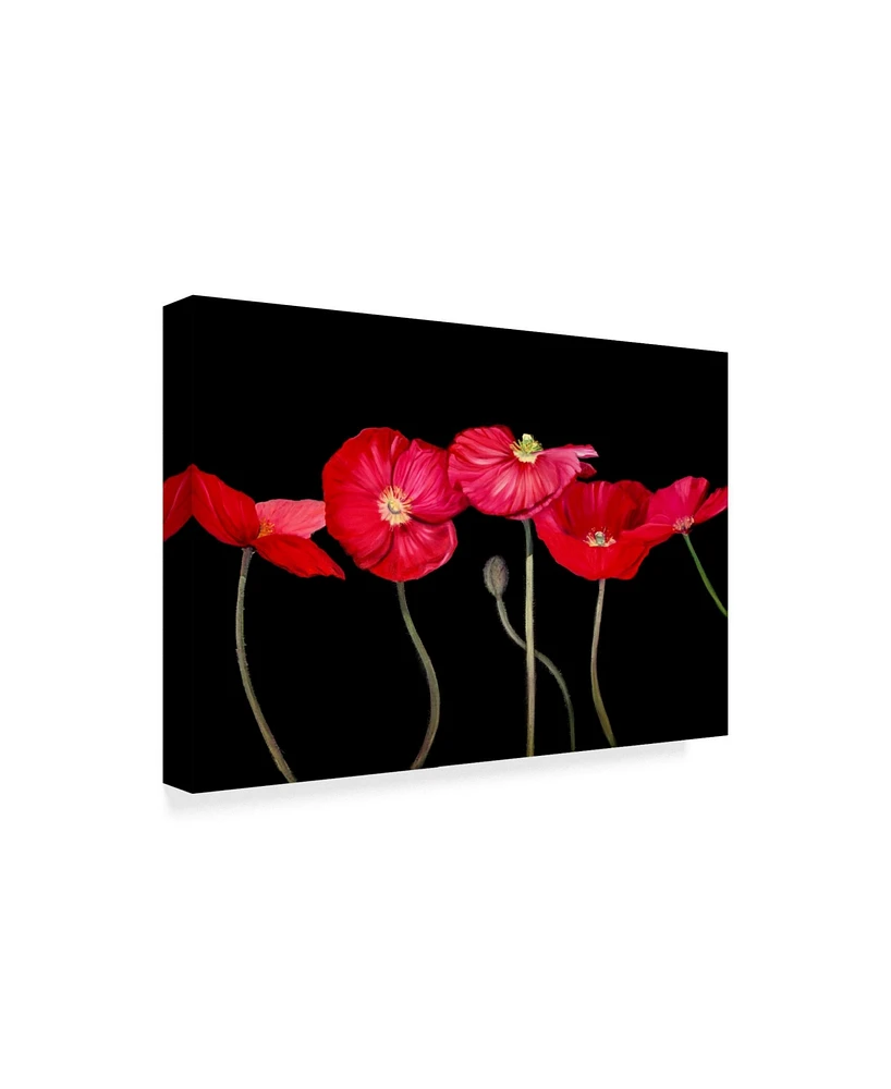 Sandra Iafrate Dramatic Poppies Canvas Art - 37" x 49"