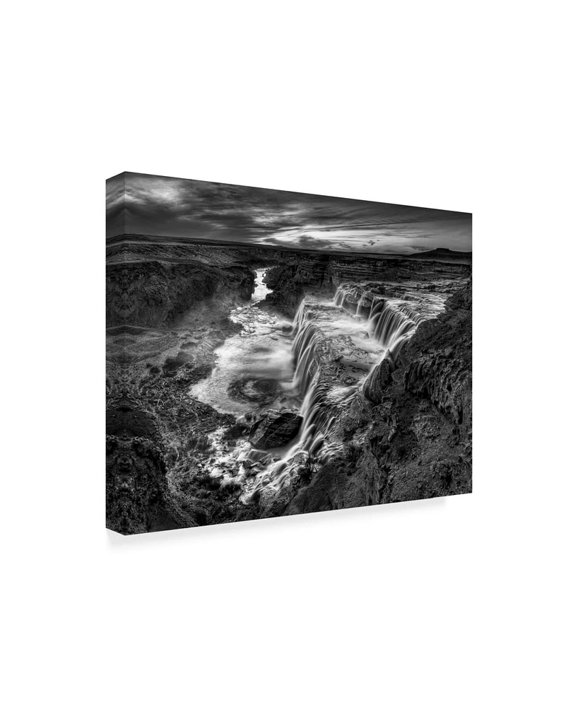 David Drost Black and White Desert View Ii Canvas Art - 37" x 49"