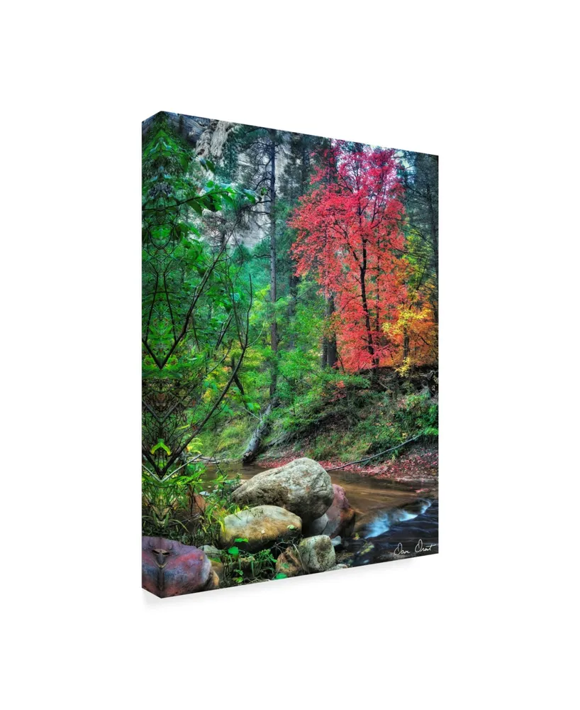 David Drost Peaceful Woods Ii Canvas Art - 37" x 49"