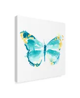 June Erica Vess Butterfly Traces Iv Canvas Art - 15" x 20"