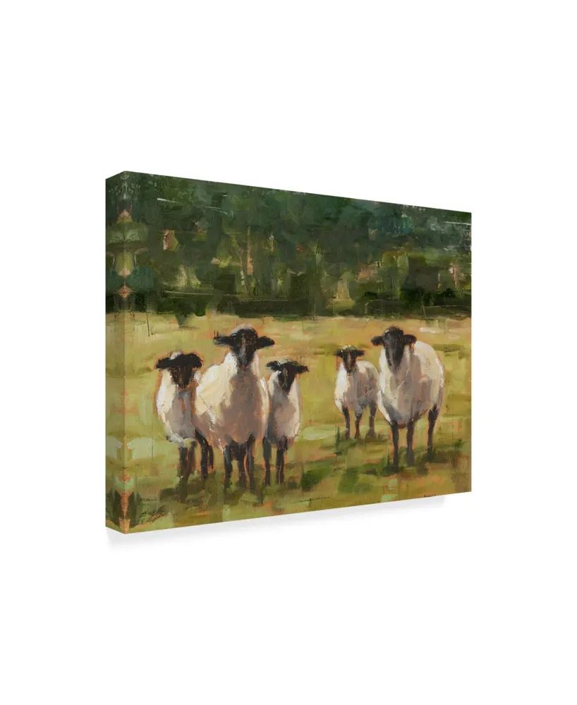 Ethan Harper Sheep Family I Canvas Art