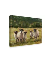 Ethan Harper Sheep Family I Canvas Art