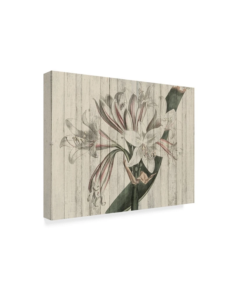 Studio W Rustic Floral Ii Canvas Art - 20" x 25"