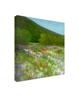 Sheila Finch Flowers of Half Moon Bay Ii Canvas Art - 20" x 25"