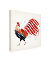 Victoria Borges Rooster Fireworks I Canvas Art - 15" x 20"