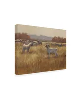 Ethan Harper Grazing Goats I Canvas Art - 15" x 20"