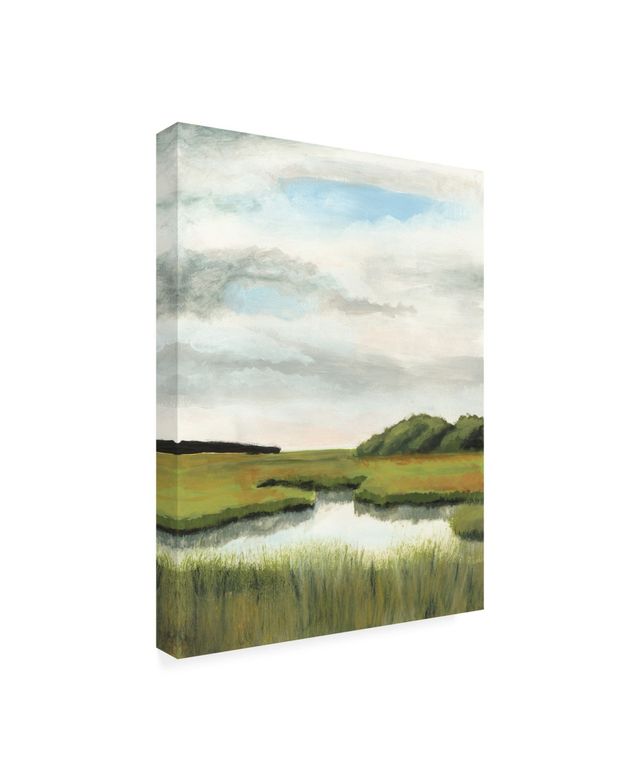 Naomi Mccavitt Marsh Landscapes Ii Canvas Art - 15" x 20"