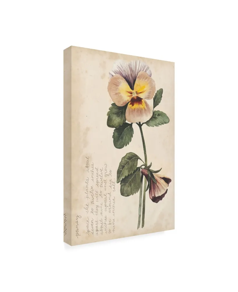 Grace Popp Garden Studies I Canvas Art