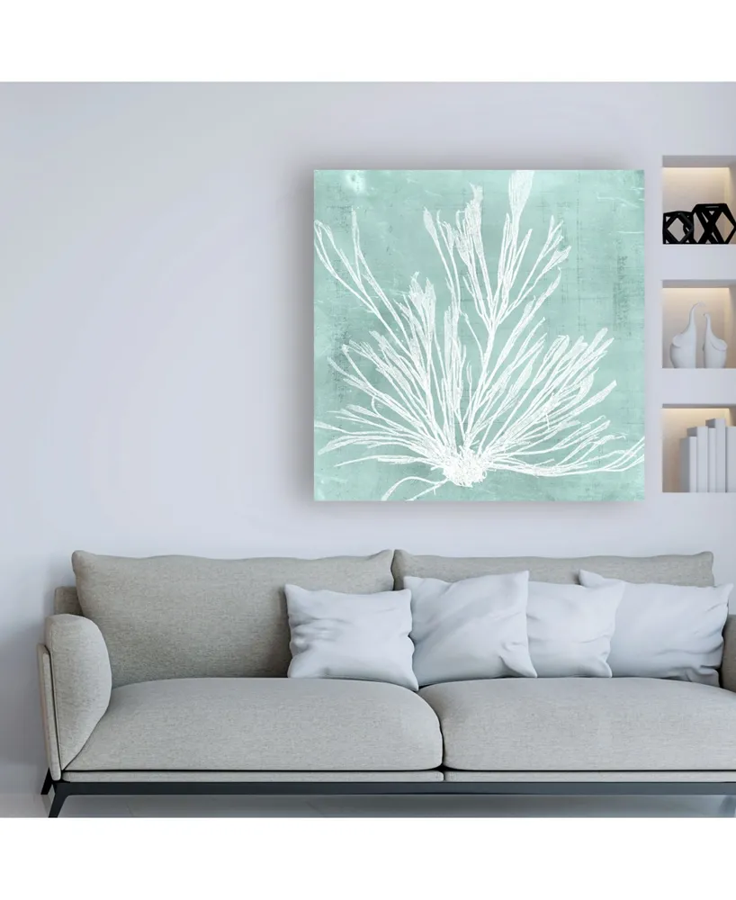 Vision Studio Seaweed on Aqua Ix Canvas Art