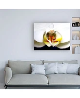 Dana Brett Munich Dove Orchid Canvas Art - 27" x 33.5"