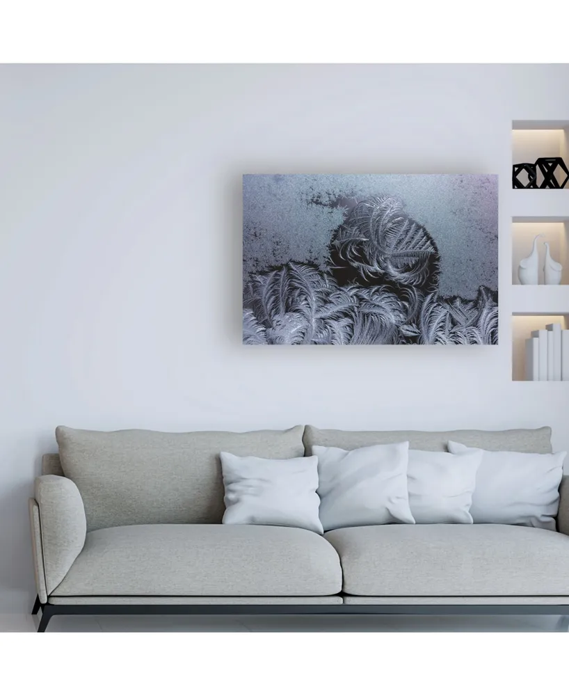 Kurt Shaffer Photographs Swirling ice crystals Canvas Art