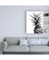 Lexie Gree Pineapple (Bw) Canvas Art - 19.5" x 26"