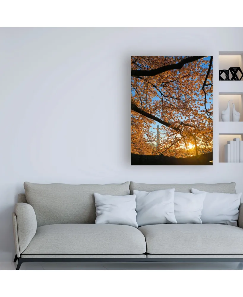 Mitch Catanzaro Cherry Blossom Sunrise Canvas Art