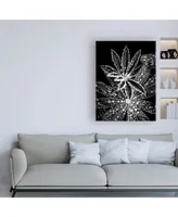 Incado Crystal I Canvas Art - 15.5" x 21"