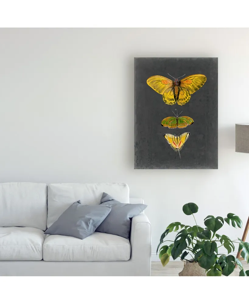 Naomi Mccavitt Butterflies on Slate I Canvas Art