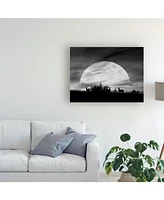 Monte Nagler Moonlight Silhouette Farmington Hills Michigan Canvas Art - 37" x 49"